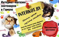 визитка