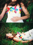 Dasha