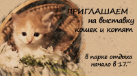 Работа 2269317