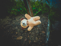 Медведь * Мобильная фотография