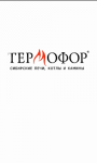 Баннер "Термофор дарит Форд"