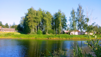 Работа 2918052