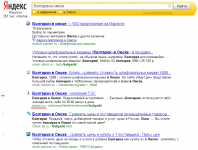 tesom.ru (болгарки в омске) - 3