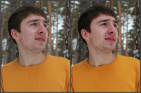 Работа 2693049