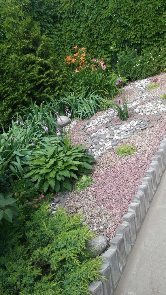 pic2917451.jpg