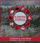 Инфографика