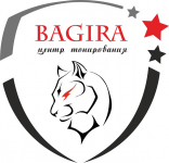 Логотип Центр тонирования стекол BAGIRA