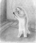 котёнок