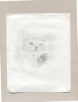 котёнок 2