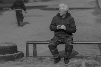 Работа 2278257