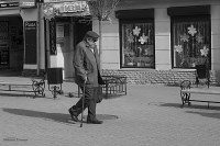 Работа 2278227