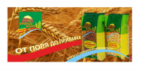 Работа 2873432