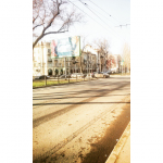 Работа 2640399