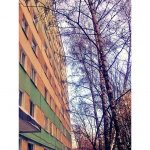 Работа 2640389