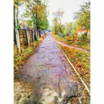 Работа 2640359