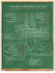 Инфографика 7