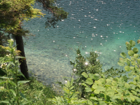 Работа 2909411