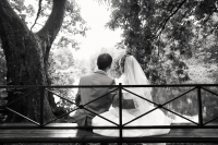 Wedding & Love Story