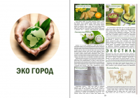 Работа 2906147