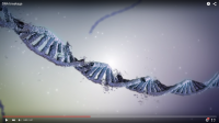 DNA breakage
