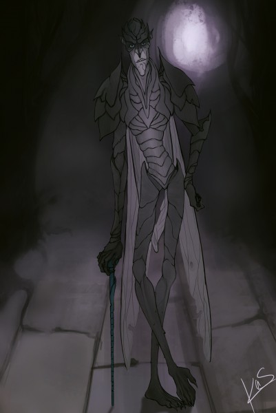 pic2554597.jpg