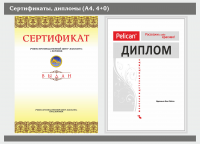 Работа 2907282