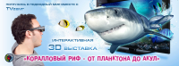 Работа 2905596