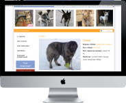 Портал Ивановского Приюта для Животных