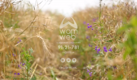 Сайт и айдентика для студии WAMWEB