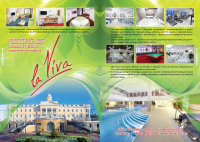 Разворот в журнал