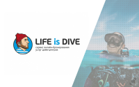 Life Is Dive
