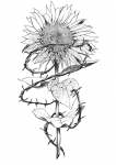 Evil Sunflower
