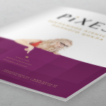 Менеджмент КИТ для рекламного агентства PiXESS  (7 дней)