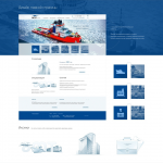 AMT INSURANCE: Insurance company