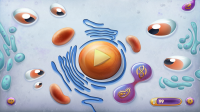 Bio Wars игра для мобильных устройств (С#)