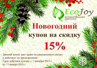 Купон Новогодний А6, 1 сторона