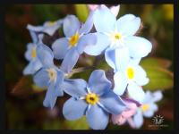 Работа 2870864