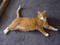 Стихи и скази для детей