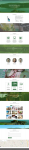 Одностраничник green