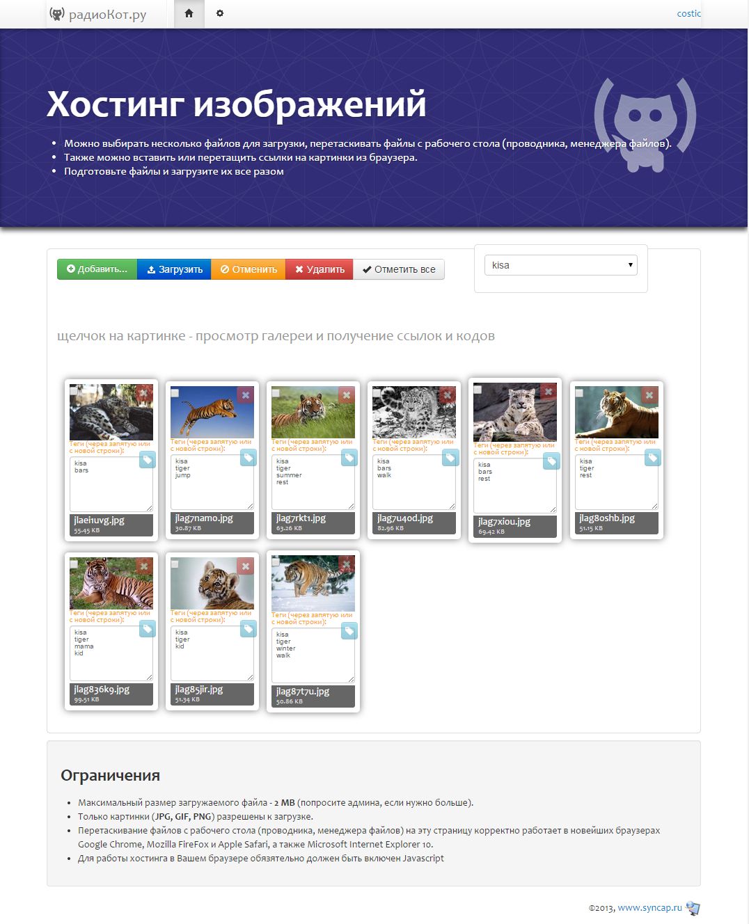 radiokot-2.jpg