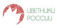Работа 2868202