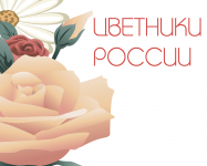 Работа 2868204