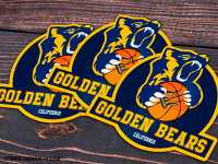 Golden Bear
