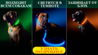 Ошейник-LED