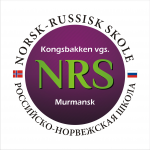 NRS (логотип для Российско-Норвежской школы в Мурманске)
