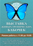 Афиша