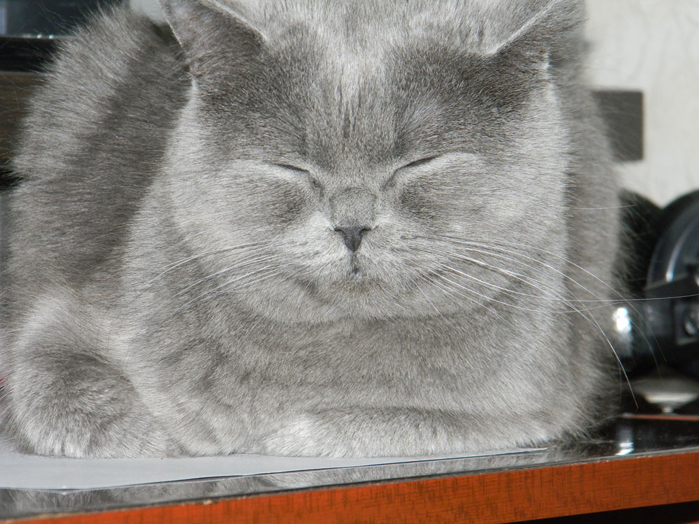 pic763621.jpg