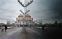 Работа 2303950