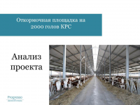 Анализ проекта - Создание откормочной площадки