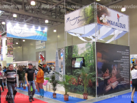 Осуществленный проект для компании Tourism Malaysia